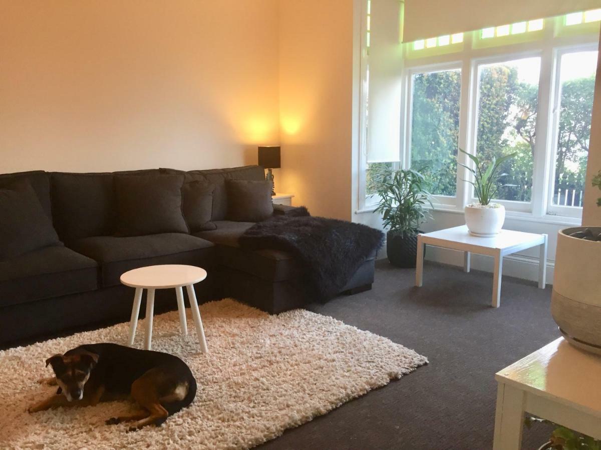 لونسيستون Eliza'S Lovely Home المظهر الخارجي الصورة